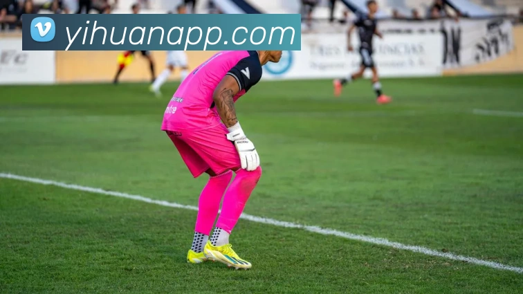 多媒体互动体验