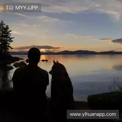 樊茉骊